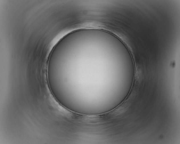 X0000111651486200907171532