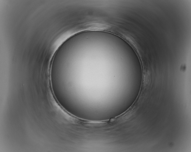 X0000111651487200907171532