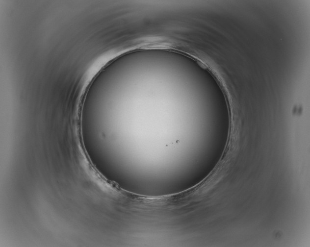 X0000111651488200907171532