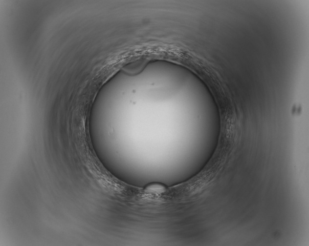 X0000111651489200907171531