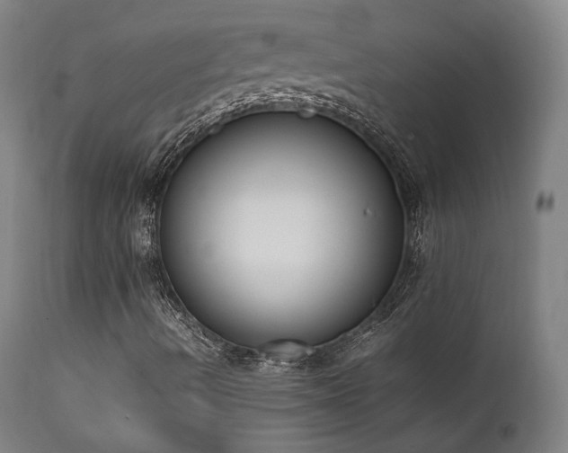 X0000111651490200907171531