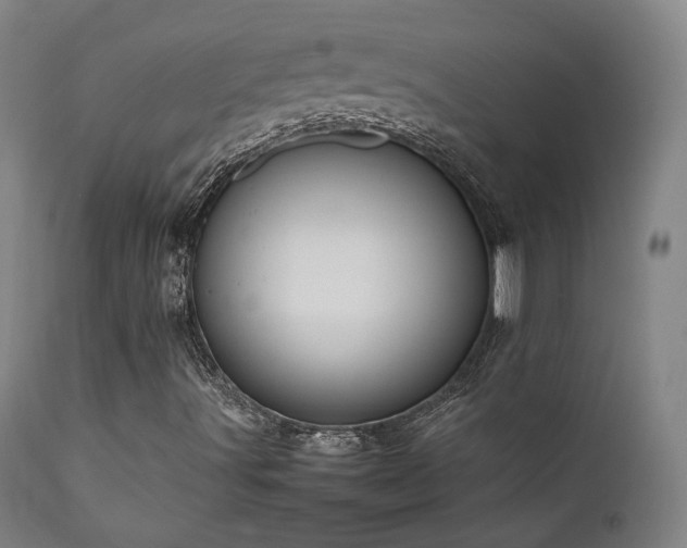 X0000111651491200907171531