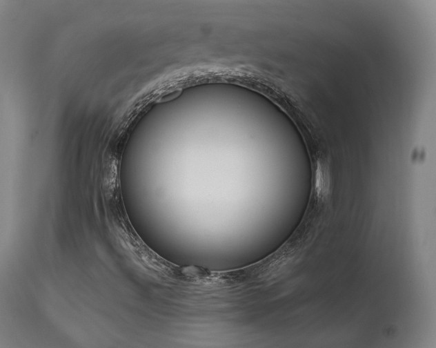 X0000111651492200907171531