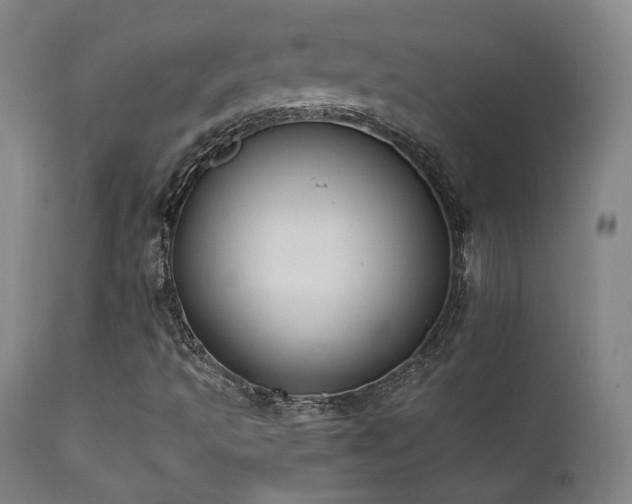 X0000111651493200907171531