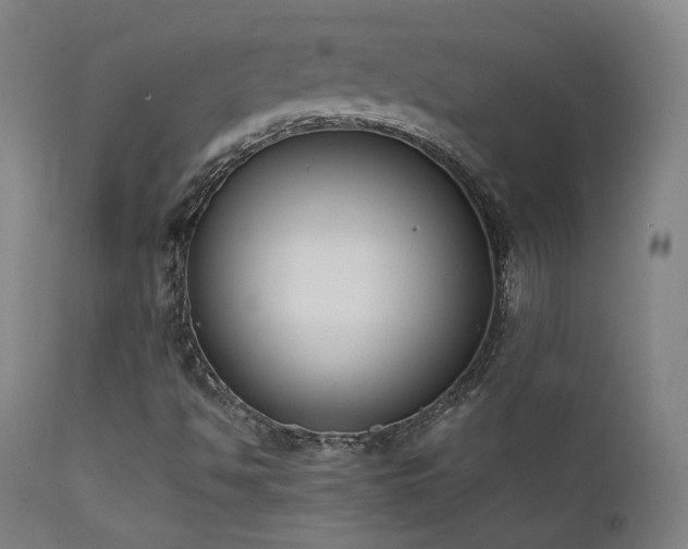 X0000111651494200907171531