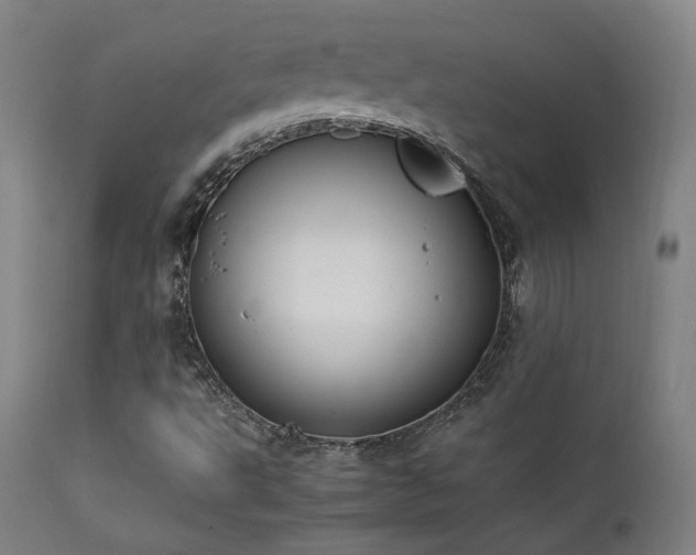 X0000111651495200907171531