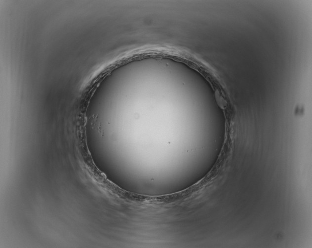X0000111651496200907171531