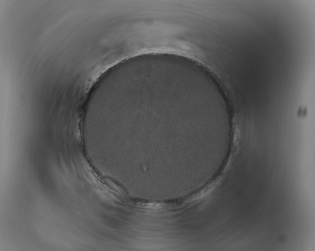 X0000111651497200907171531