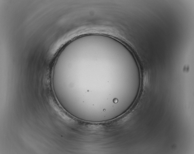 X0000111651498200907171531
