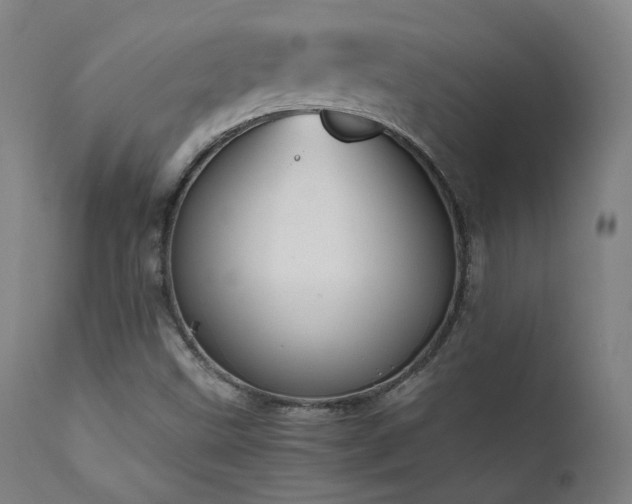 X0000111651499200907171531