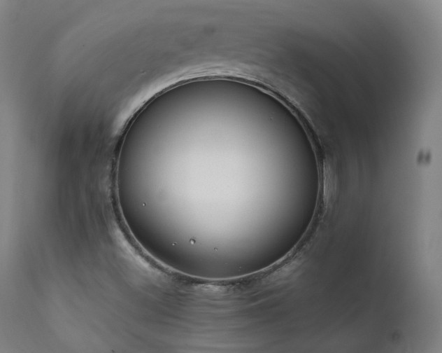 X0000111651500200907171531