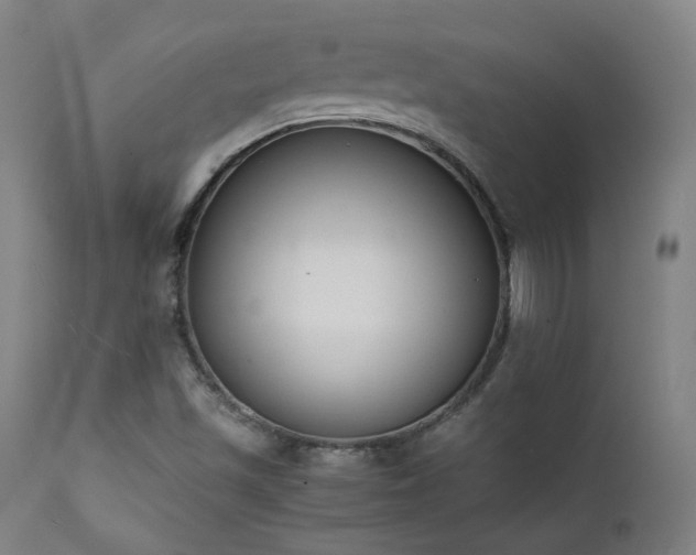 X0000111651501200907171531