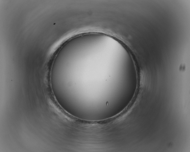 X0000111651502200907171531