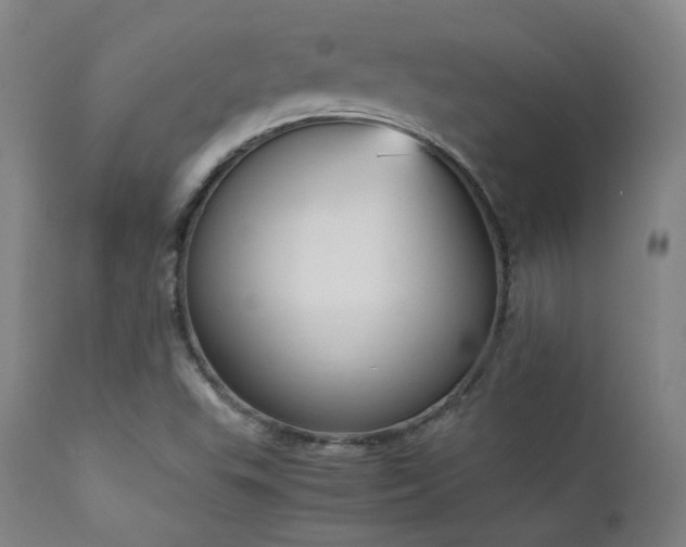 X0000111651503200907171531