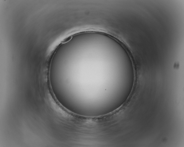 X0000111651504200907171531