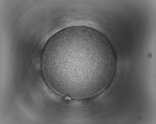 X0000111651505200907171531