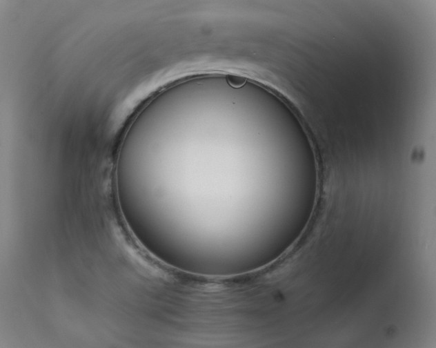 X0000111651507200907171531