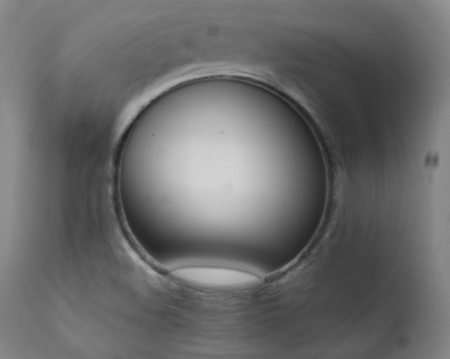 X0000111651508200907171531