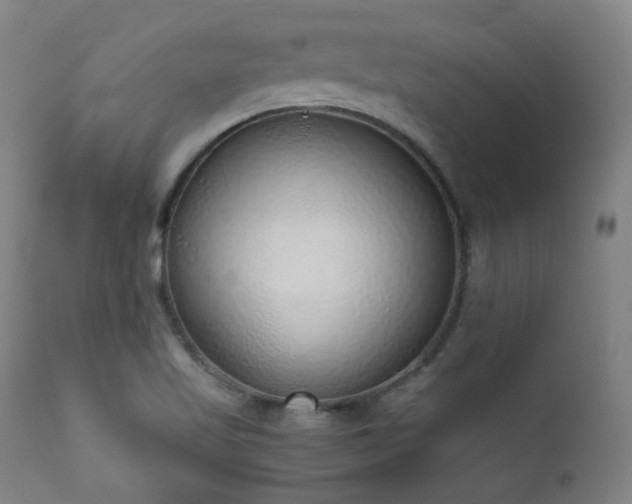 X0000111651509200907171531