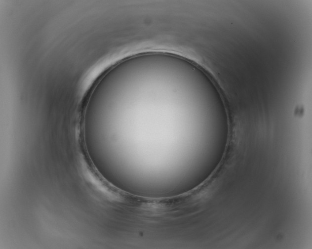 X0000111651511200907171531