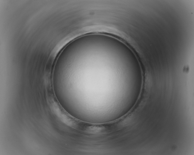 X0000111651513200907171531