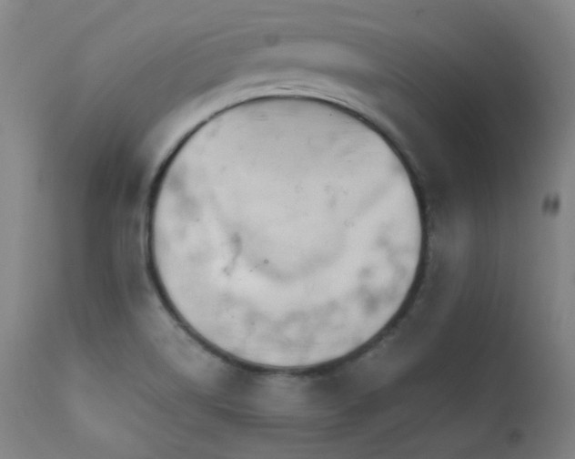 X0000111651514200907171531