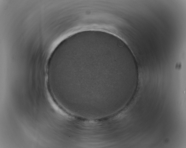 X0000111651515200907171531