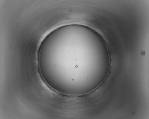 X0000111651516200907171532