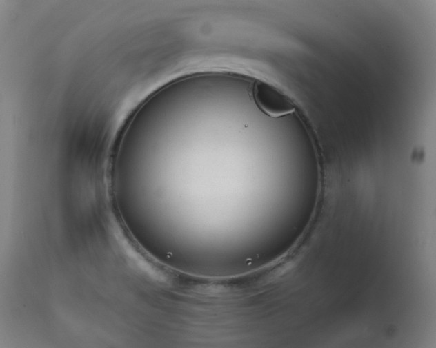 X0000111651517200907171532