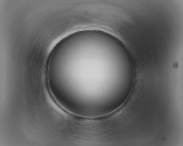 X0000111651518200907171532