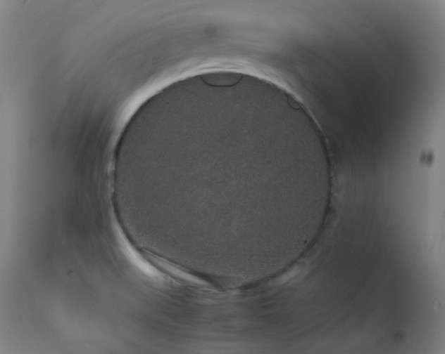 X0000111651519200907171532
