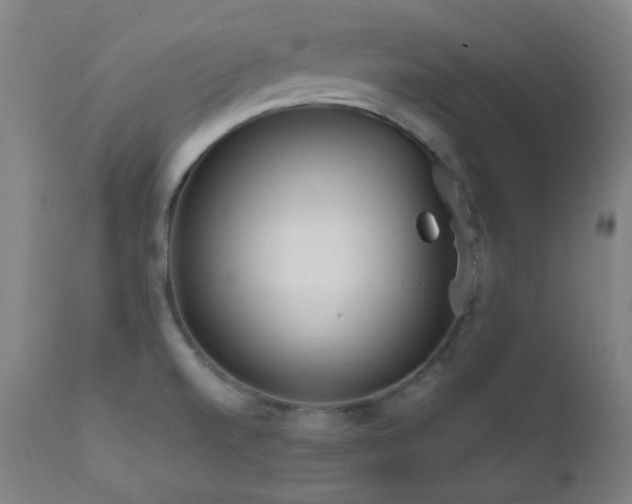 X0000111651520200907171532