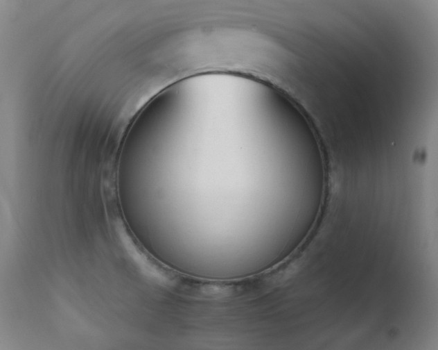 X0000111651521200907171532