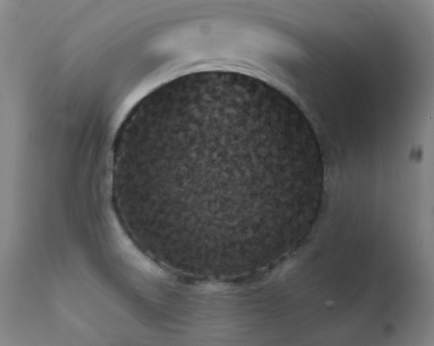 X0000111651522200907171532