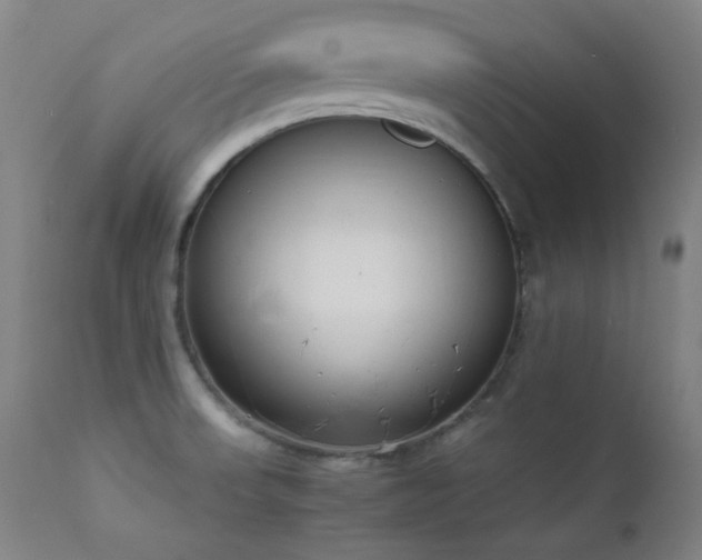 X0000111651523200907171532