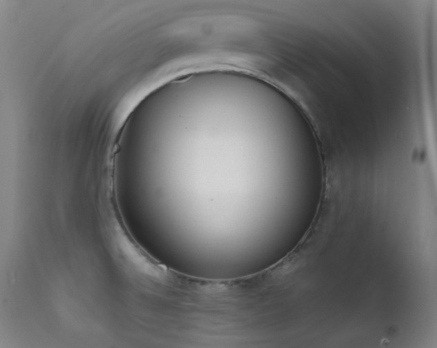 X0000111651524200907171532