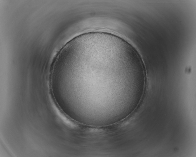 X0000111651525200907171532