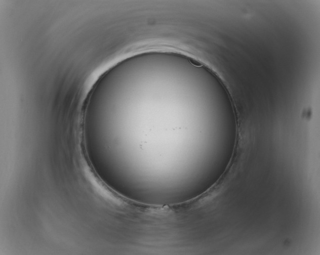 X0000111651526200907171532
