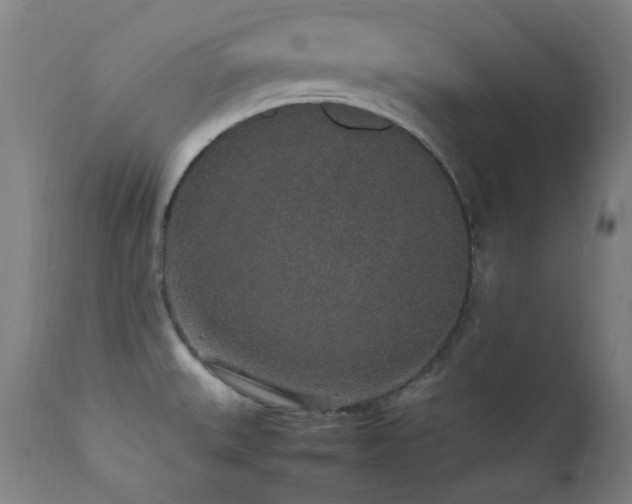 X0000111651527200907171532