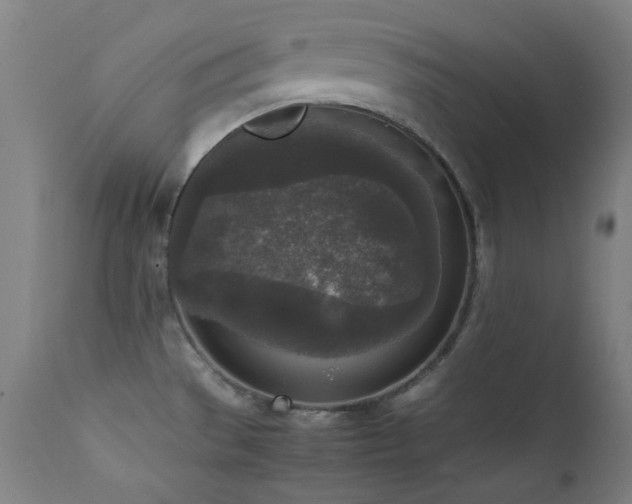 X0000111651529200907171532