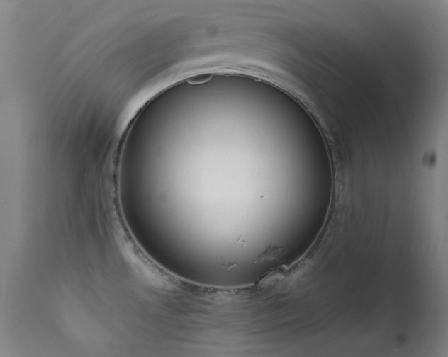 X0000111651530200907171532