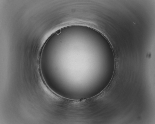 X0000111651531200907171532