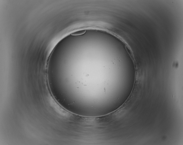 X0000111651532200907171532