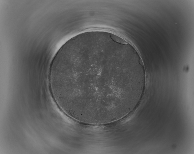 X0000111651533200907171532