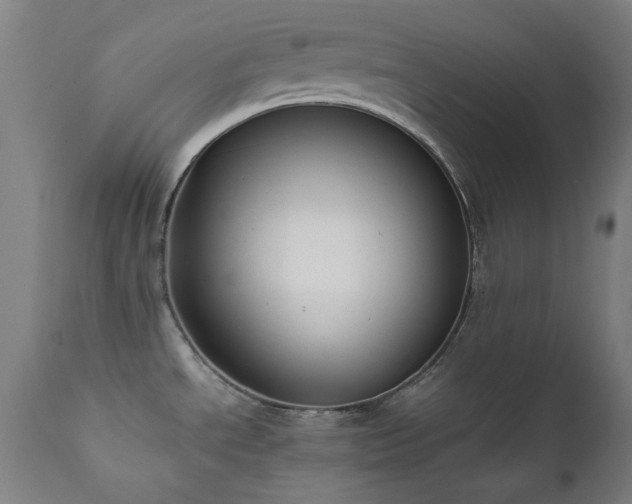 X0000111651534200907171532