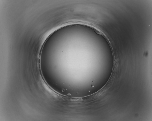 X0000111651535200907171532