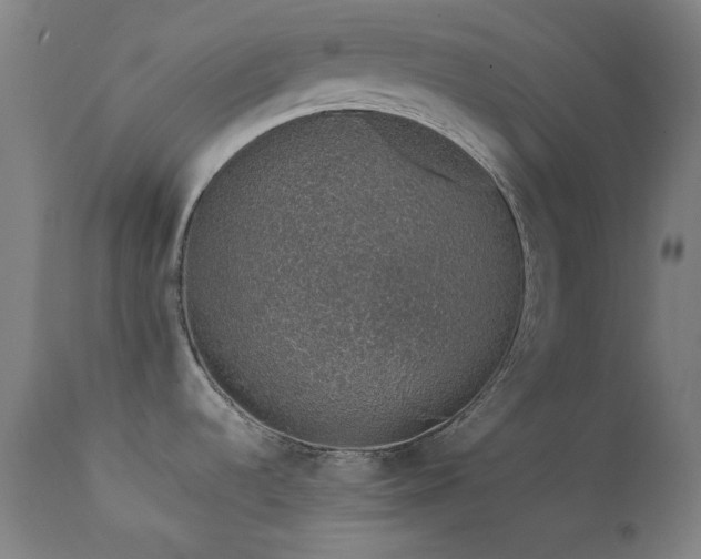X0000111651536200907171532