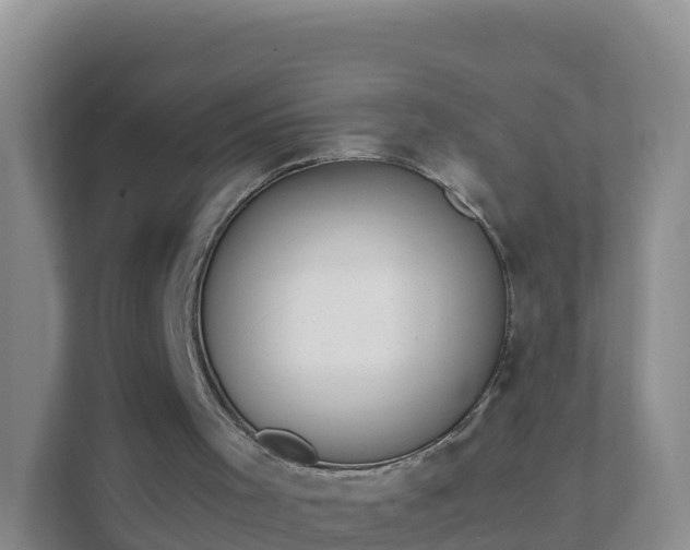 X0000111650001200907241141