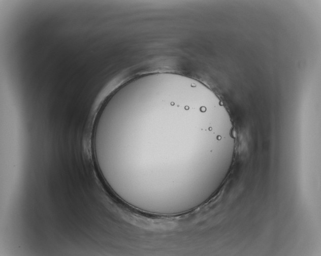 X0000111650004200907241141