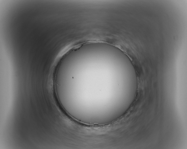 X0000111650005200907241141